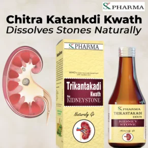 Kidney Stones symptoms of kidney stones what are kidney stones kidney stones ki dawai kidney stones medicine ke benefits how to use ayurvedic medicine for kidney stones