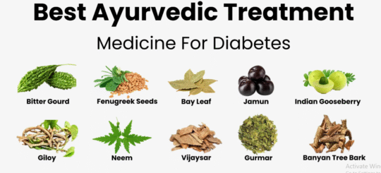 diabests ke upaye, best ayurvedic medicine for diabets , diabets m kon si dawai best hoti hai